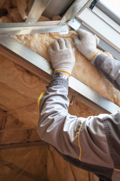Best Insulation Maintenance and Repair in Warm Springs, CA